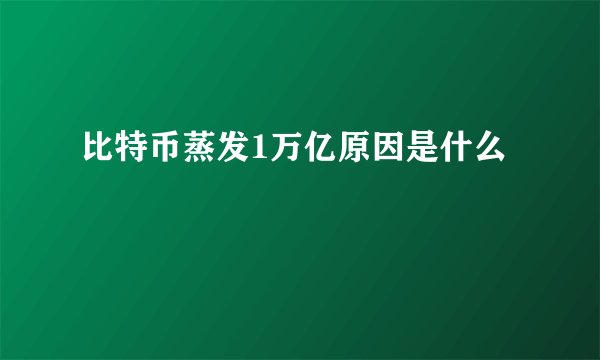 比特币蒸发1万亿原因是什么
