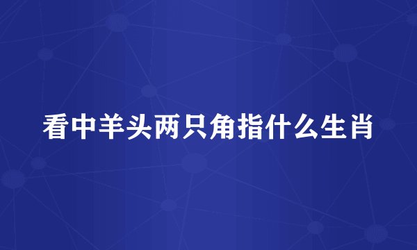 看中羊头两只角指什么生肖
