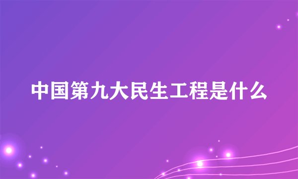 中国第九大民生工程是什么