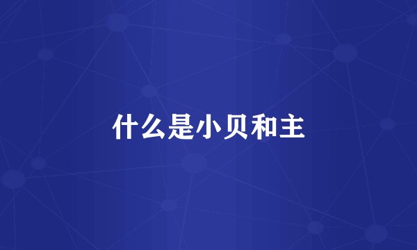 什么是小贝和主