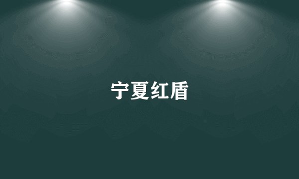 宁夏红盾