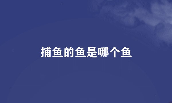 捕鱼的鱼是哪个鱼