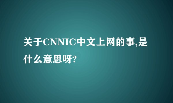 关于CNNIC中文上网的事,是什么意思呀?
