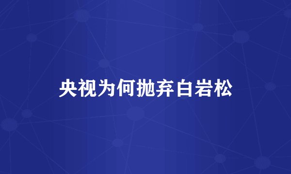 央视为何抛弃白岩松