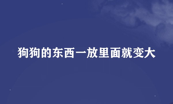 狗狗的东西一放里面就变大