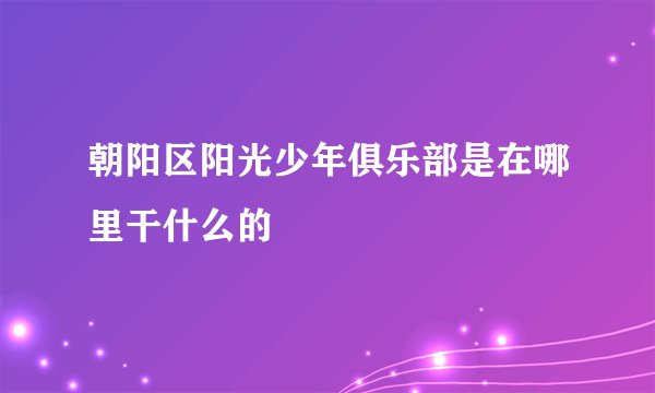 朝阳区阳光少年俱乐部是在哪里干什么的