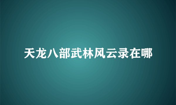 天龙八部武林风云录在哪