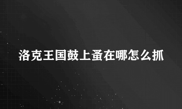 洛克王国鼓上蚤在哪怎么抓