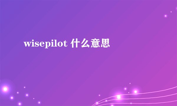 wisepilot 什么意思