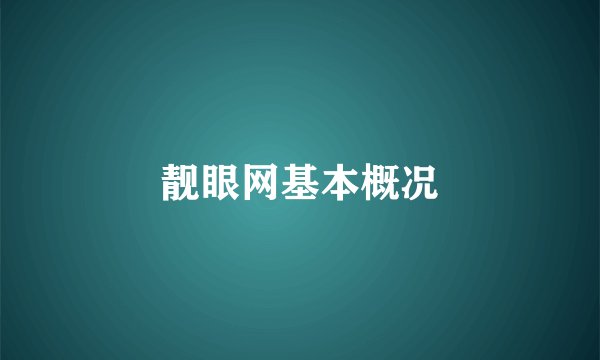 靓眼网基本概况