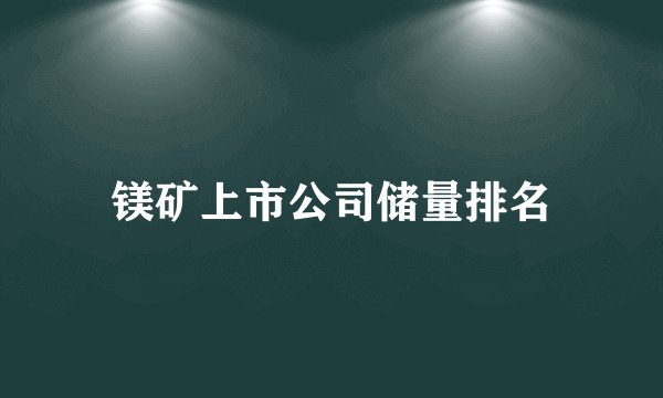 镁矿上市公司储量排名