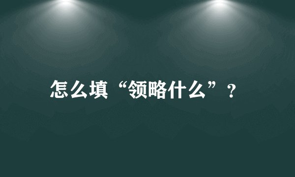 怎么填“领略什么”？