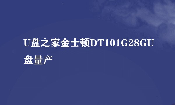 U盘之家金士顿DT101G28GU盘量产