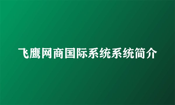 飞鹰网商国际系统系统简介
