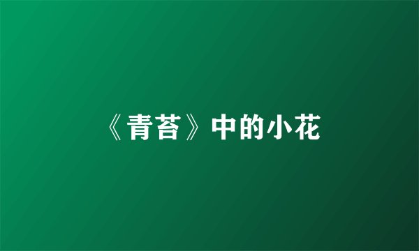 《青苔》中的小花