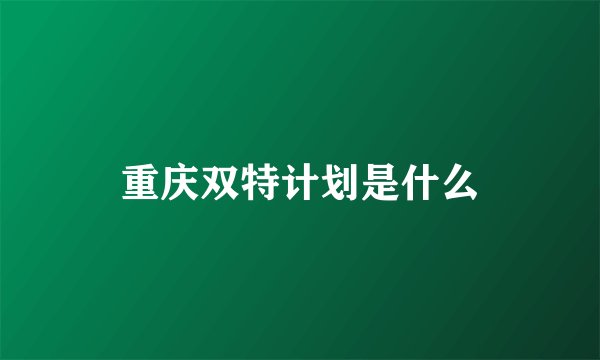 重庆双特计划是什么