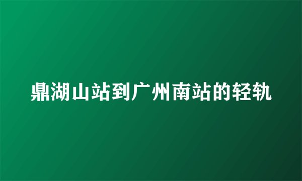 鼎湖山站到广州南站的轻轨