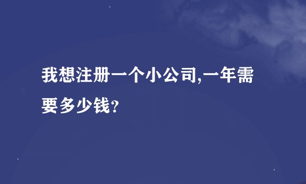 我想注册一个小公司,一年需要多少钱？