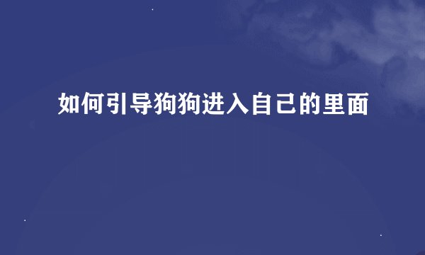如何引导狗狗进入自己的里面