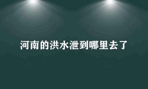河南的洪水泄到哪里去了