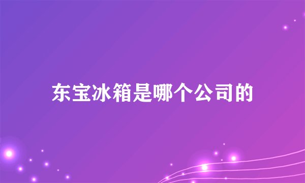 东宝冰箱是哪个公司的