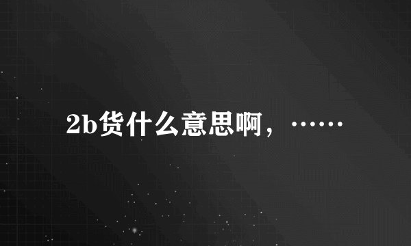 2b货什么意思啊，……