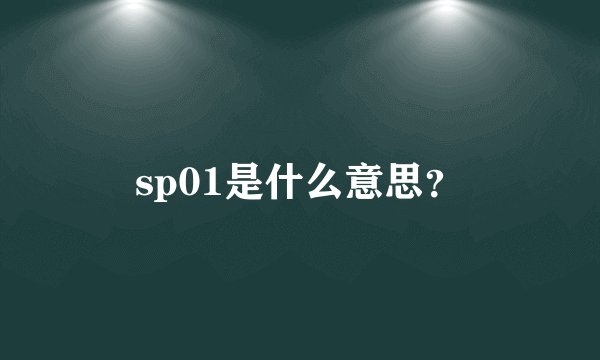 sp01是什么意思？