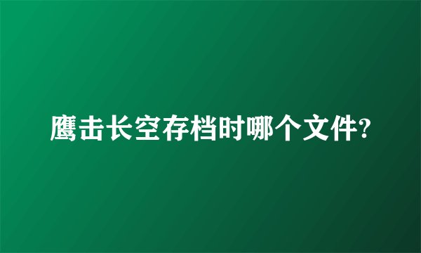 鹰击长空存档时哪个文件?