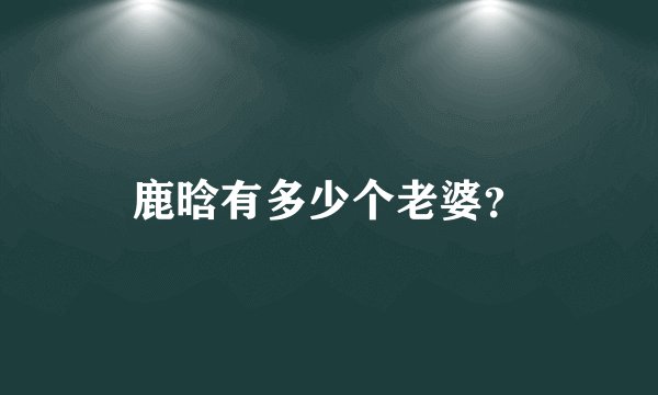 鹿晗有多少个老婆？