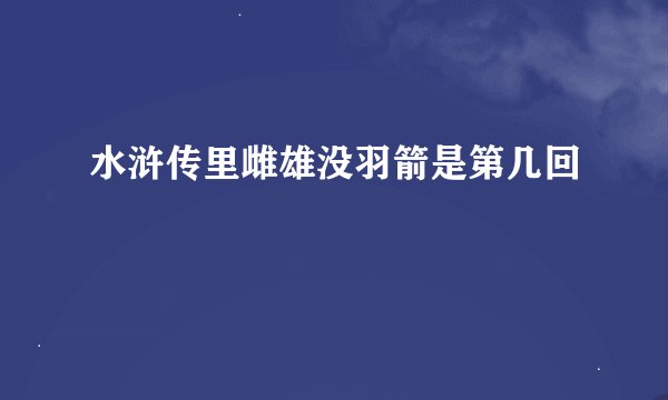 水浒传里雌雄没羽箭是第几回