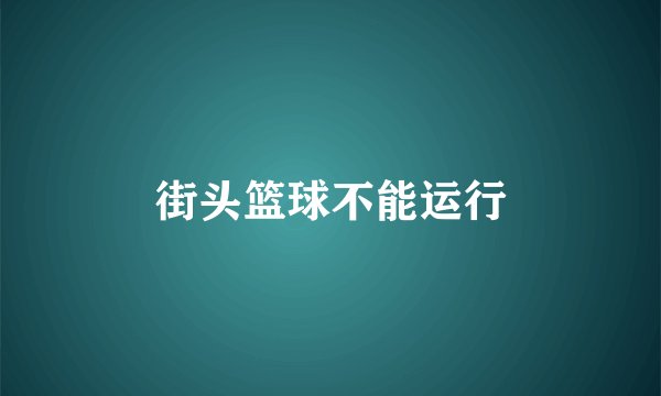 街头篮球不能运行