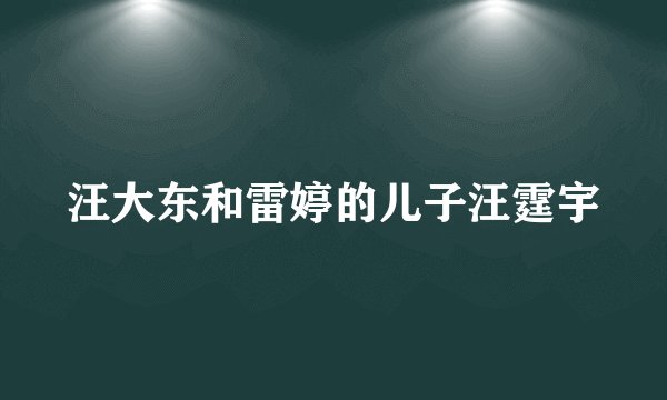 汪大东和雷婷的儿子汪霆宇