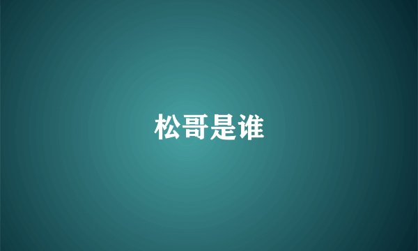 松哥是谁