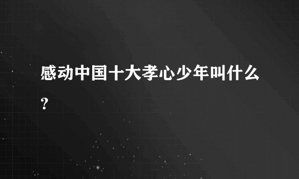 感动中国十大孝心少年叫什么？