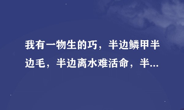 我有一物生的巧,半边鳞甲半边毛,半边离水难活命,半边入水命难保。 (打一字)