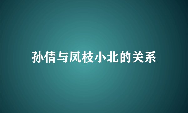 孙倩与凤枝小北的关系