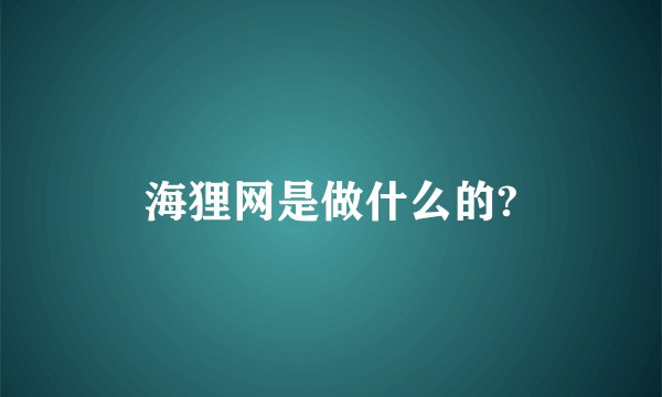 海狸网是做什么的?