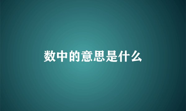 数中的意思是什么