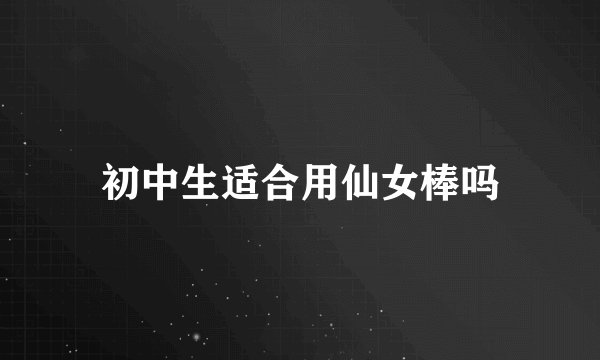 初中生适合用仙女棒吗