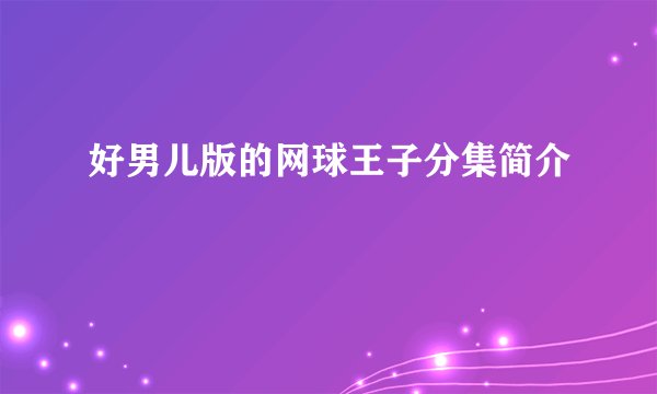 好男儿版的网球王子分集简介