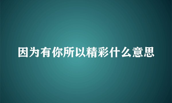 因为有你所以精彩什么意思