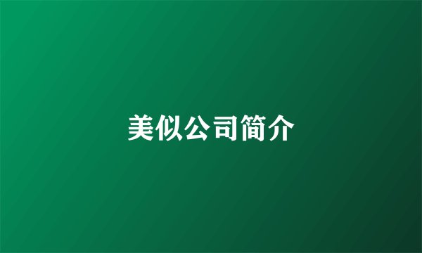 美似公司简介