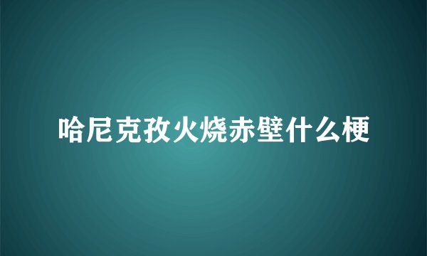 哈尼克孜火烧赤壁什么梗