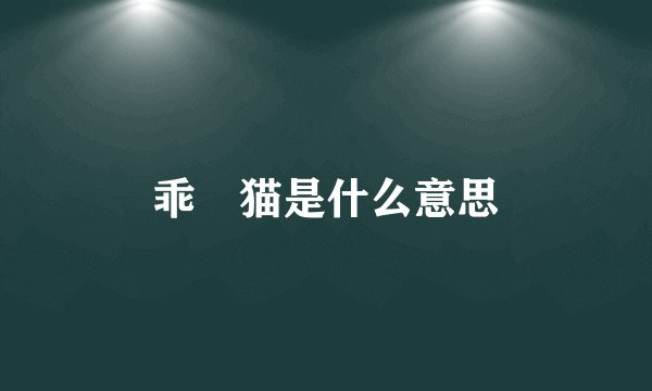乖囧猫是什么意思