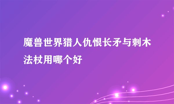 魔兽世界猎人仇恨长矛与刺木法杖用哪个好