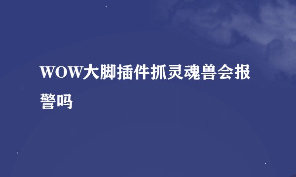 WOW大脚插件抓灵魂兽会报警吗