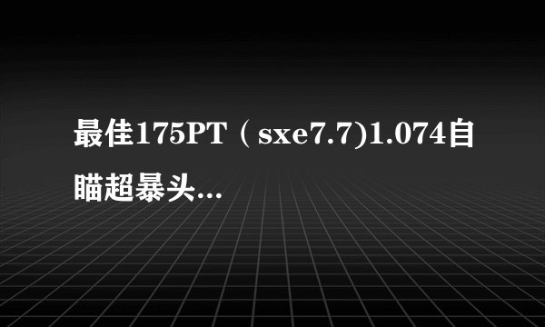 最佳175PT（sxe7.7)1.074自瞄超暴头作弊器-利箭