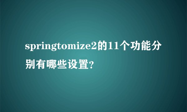 springtomize2的11个功能分别有哪些设置？