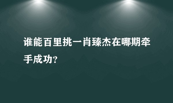 谁能百里挑一肖臻杰在哪期牵手成功？