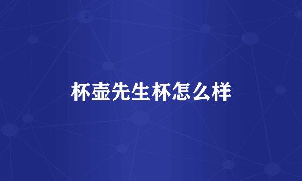 杯壶先生杯怎么样